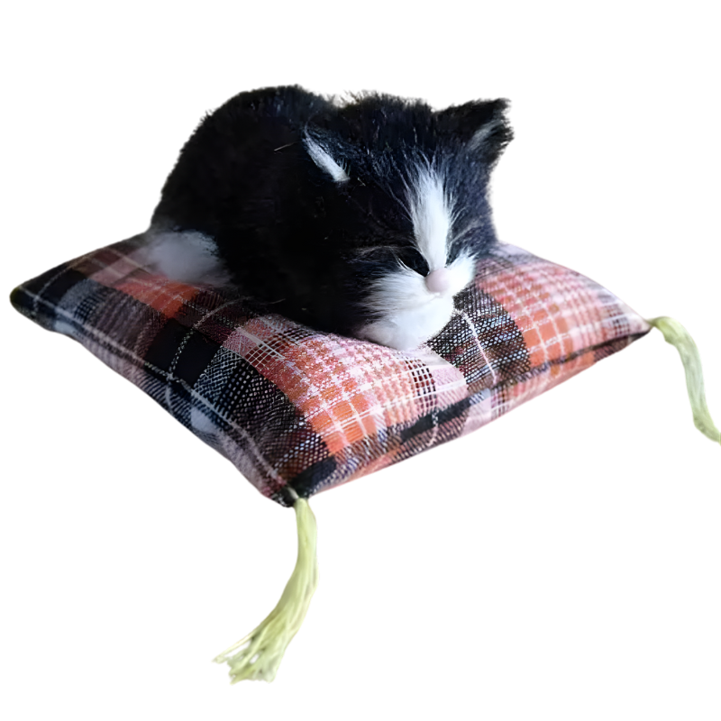 DreamPaws