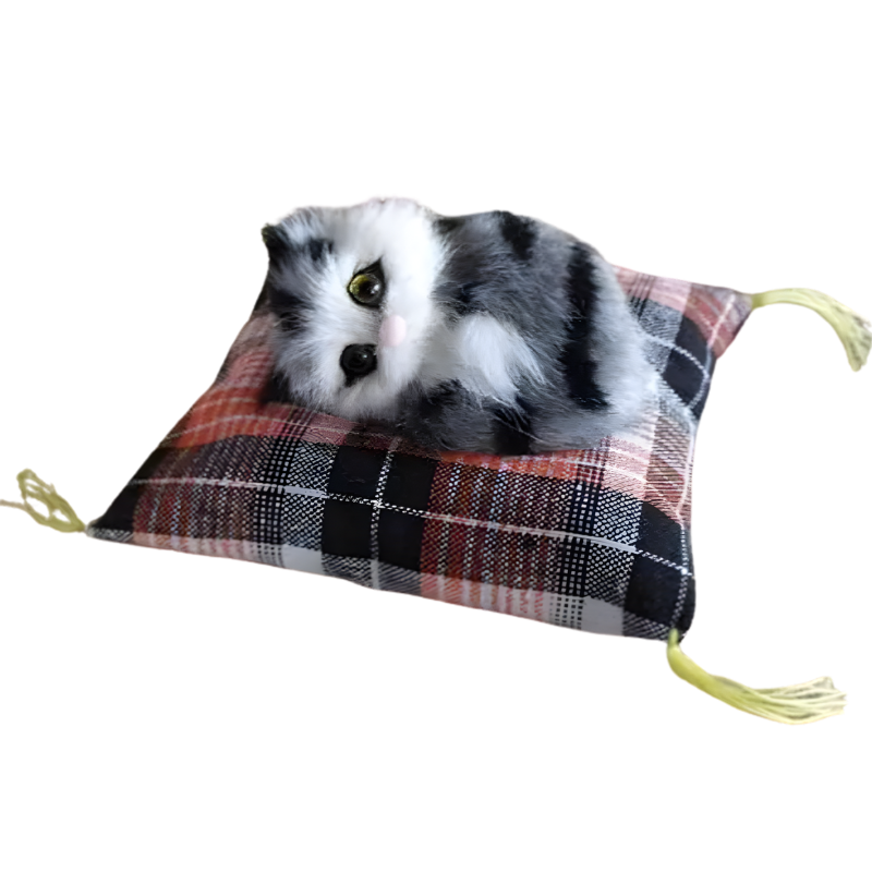 DreamPaws
