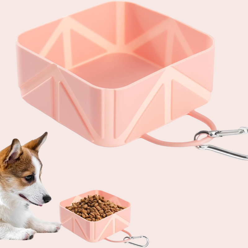 PawFold