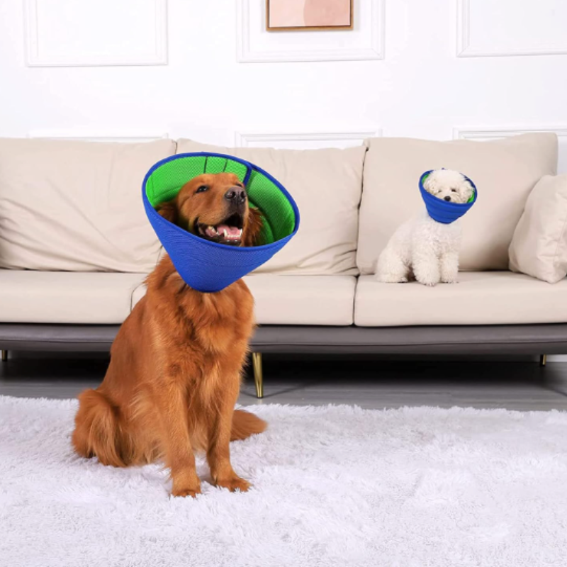 CareCone