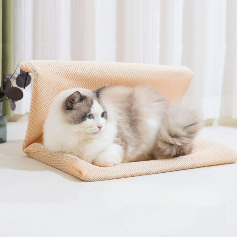 PurrChill