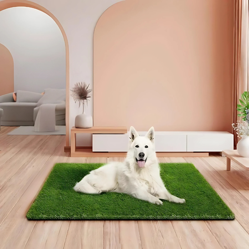 PawLawn
