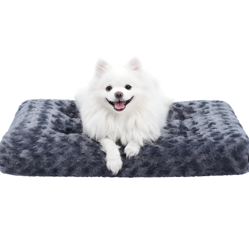 CozyLounge