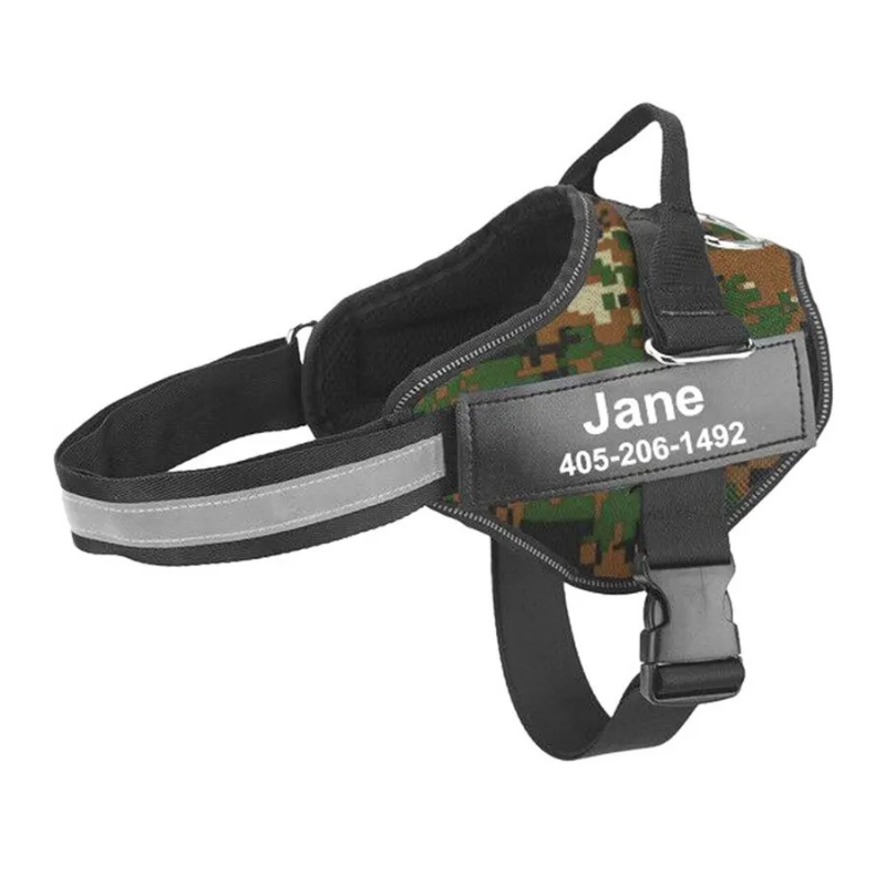 BarkBand
