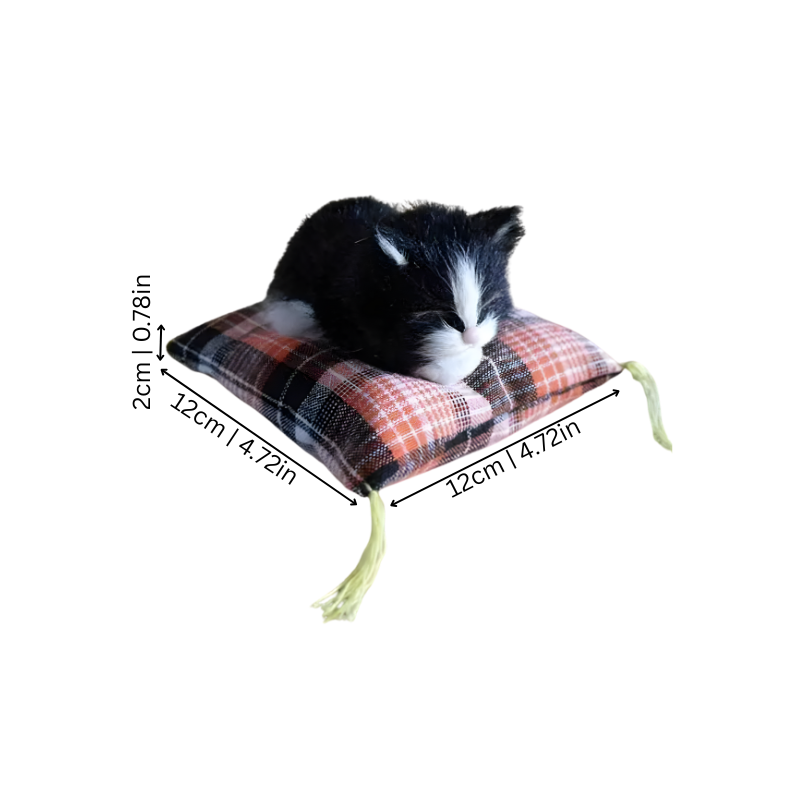 DreamPaws