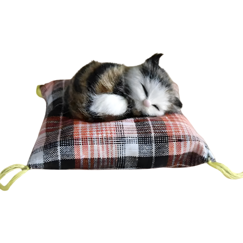DreamPaws