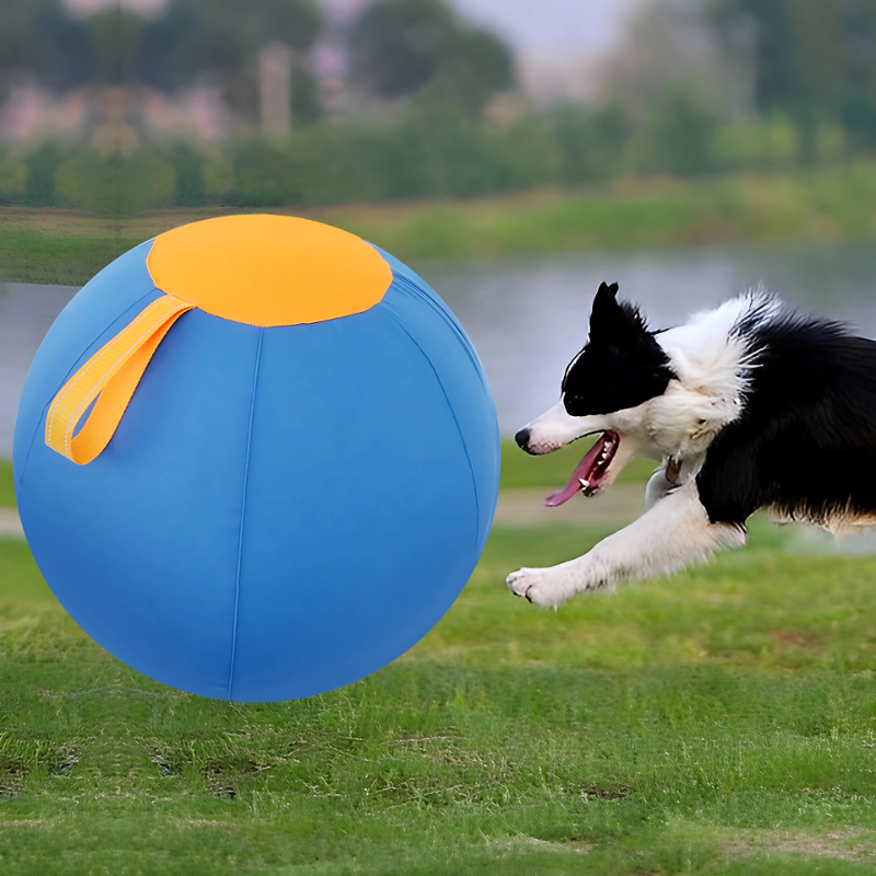 HerdyBall