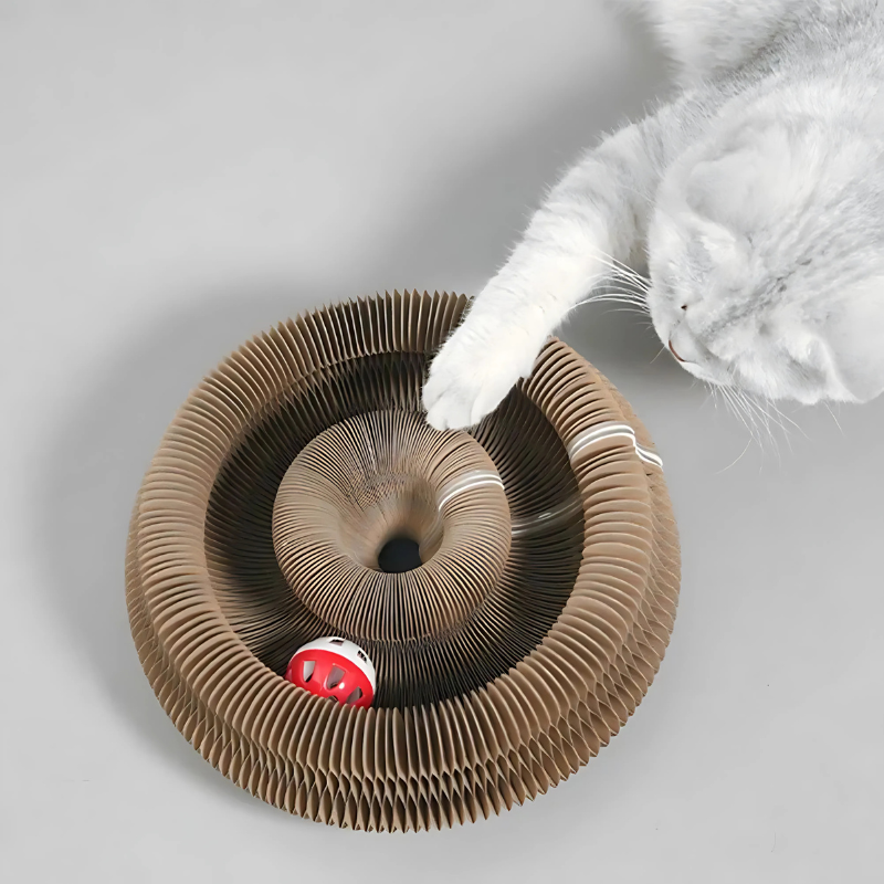 WhirlNest
