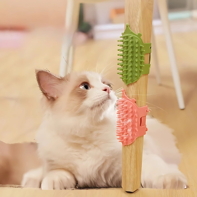 PurrBrush
