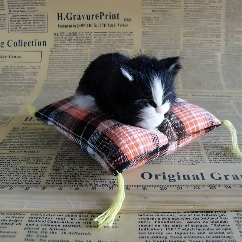 DreamPaws