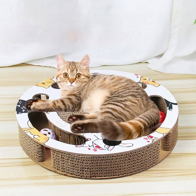 WhiskerWhirl