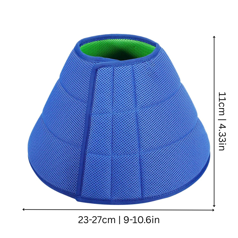CareCone