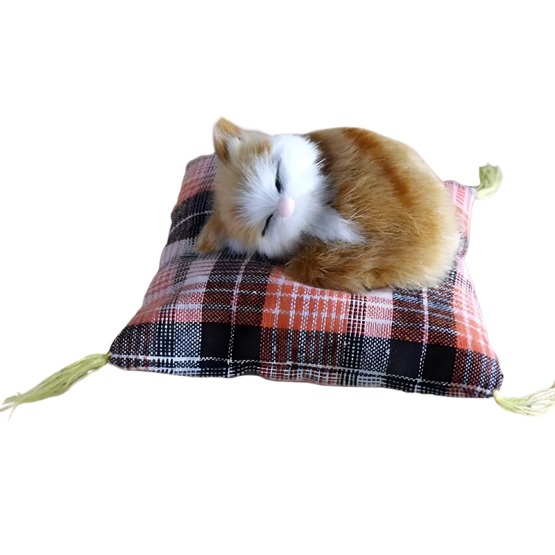 DreamPaws